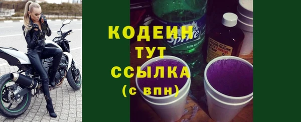дживик Бронницы