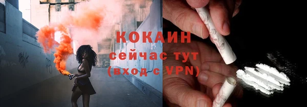 дживик Бронницы