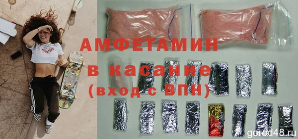 молекула духа Бородино
