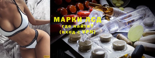 молекула духа Бородино